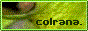 colrana A button for colrana's website.